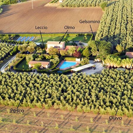 Podere Campi Al Mare Доноратико Экстерьер фото