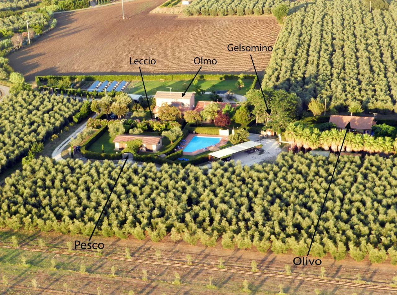 Podere Campi Al Mare Доноратико Экстерьер фото